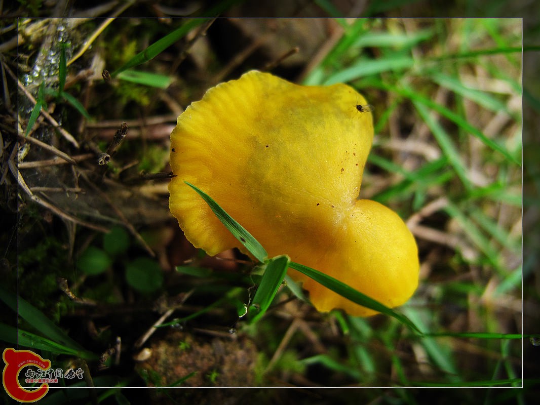 nEO_IMG_药王山 065.jpg