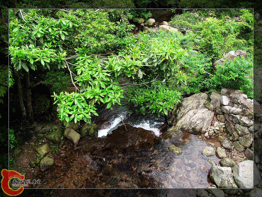 nEO_IMG_药王山 109.jpg