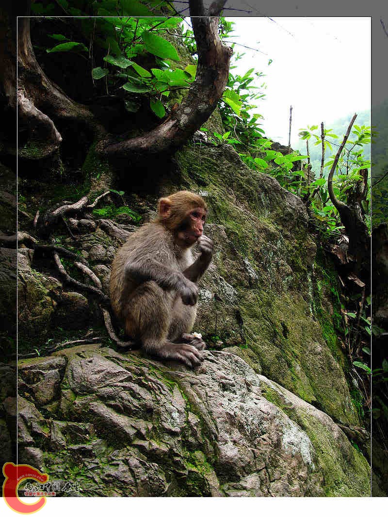 nEO_IMG_药王山 143.jpg