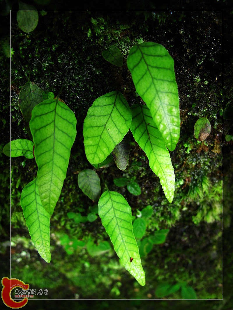nEO_IMG_药王山 158.jpg