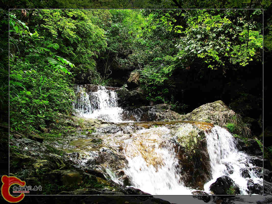 nEO_IMG_药王山 161.jpg