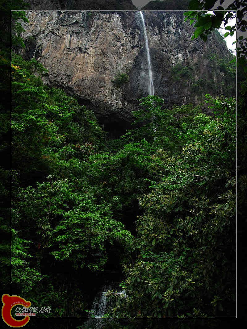 nEO_IMG_药王山 166.jpg