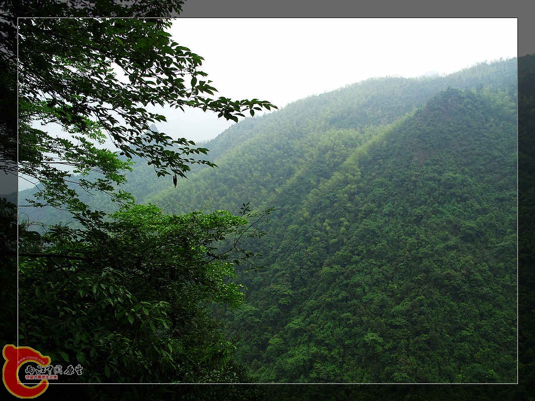 nEO_IMG_药王山 234.jpg