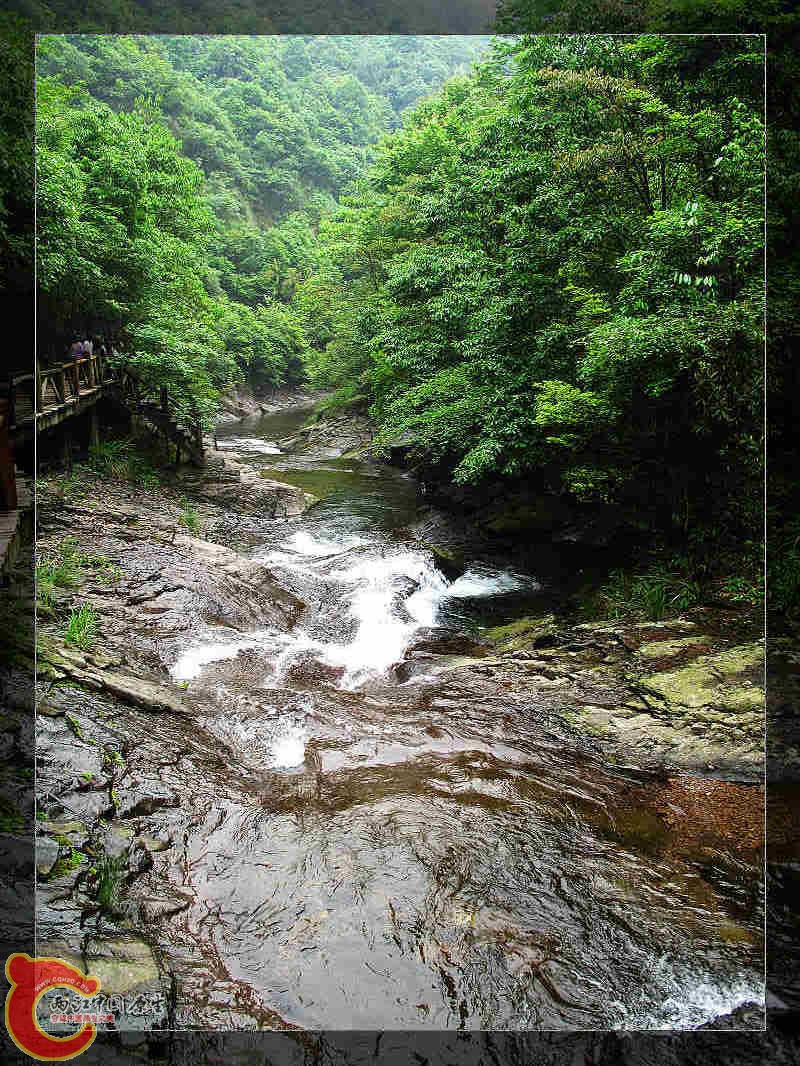 nEO_IMG_药王山 263.jpg
