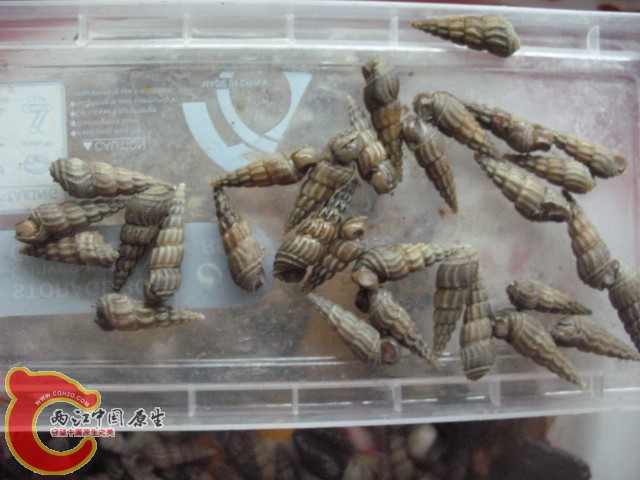 test1 344.jpg