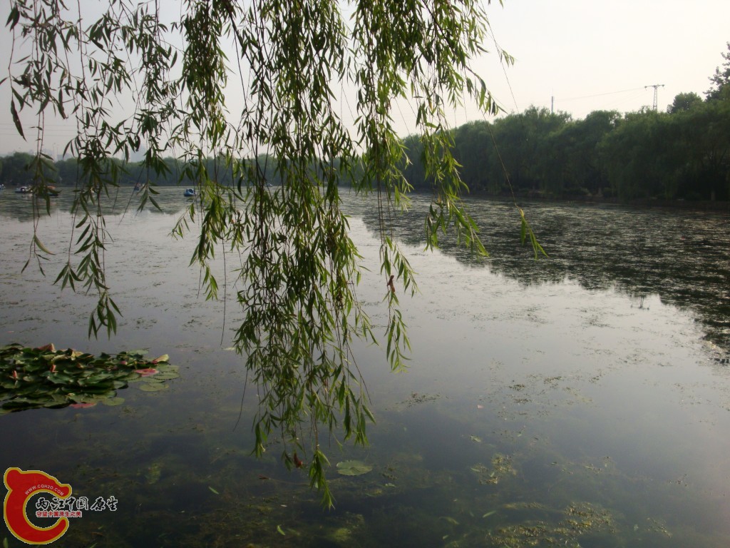 conew_dsc09399.jpg