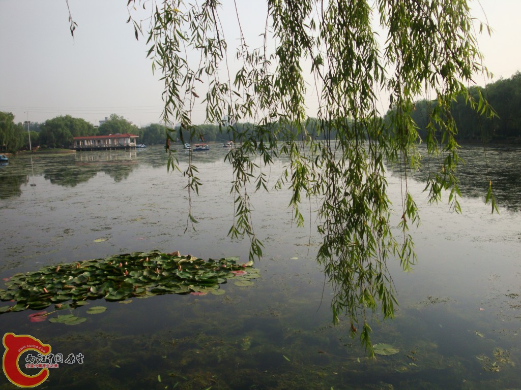 conew_dsc09410.jpg
