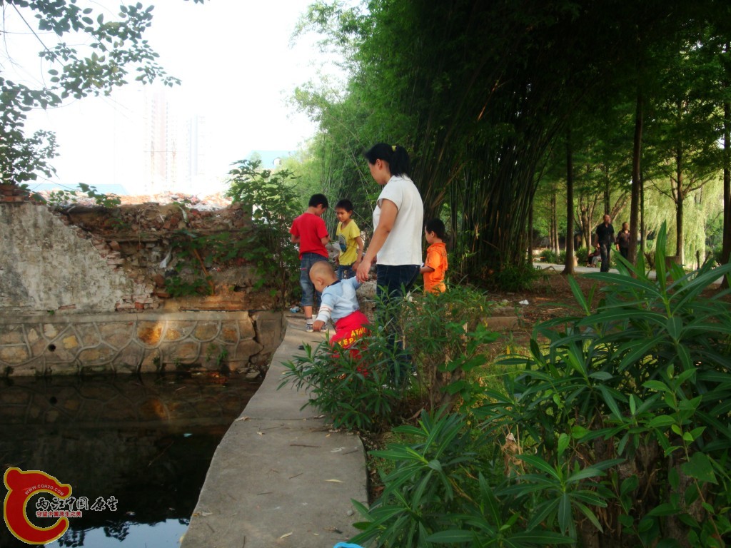 conew_dsc09434.jpg