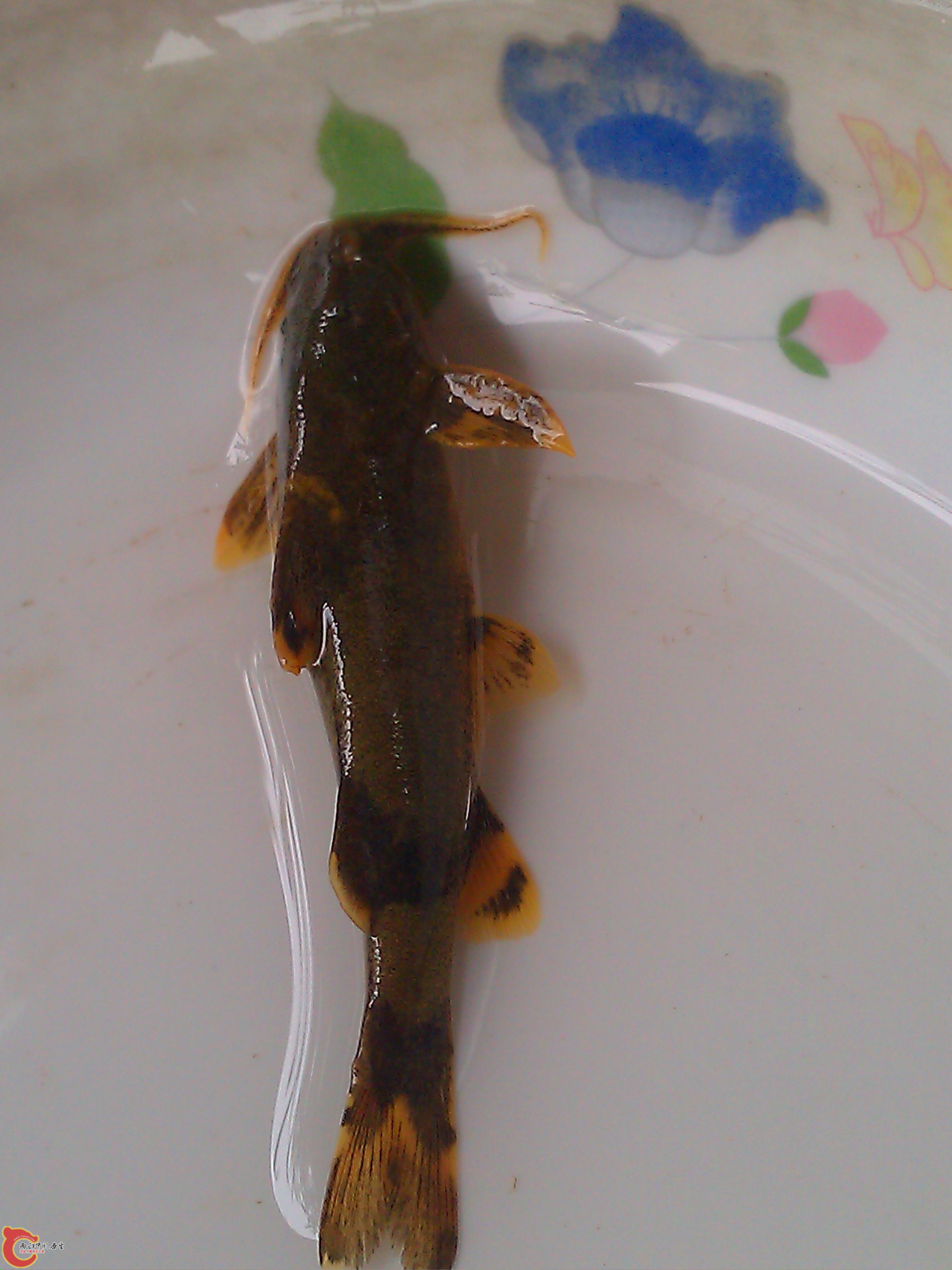 IMAG0221.jpg