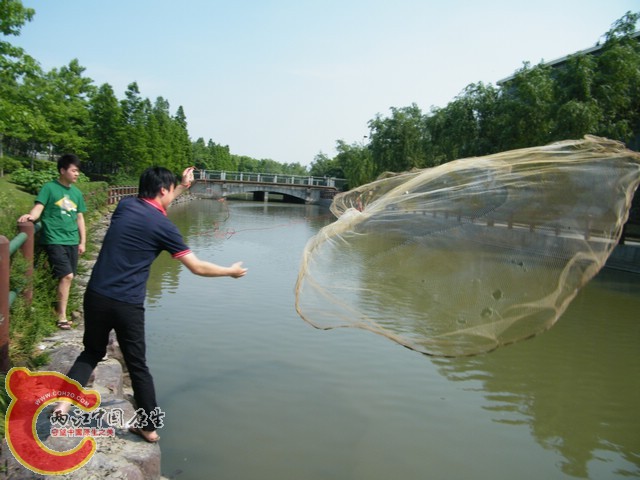 DSCF5803.jpg