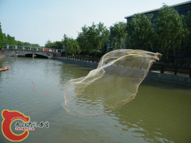 DSCF5802.jpg