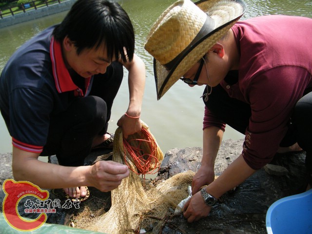 DSCF5806.jpg