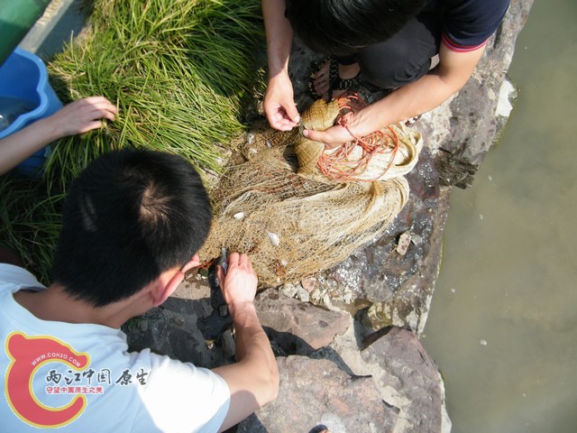 DSCF5799.jpg
