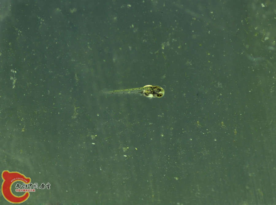 nEO_IMG_DSC_0144.jpg