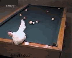 未命名.gif