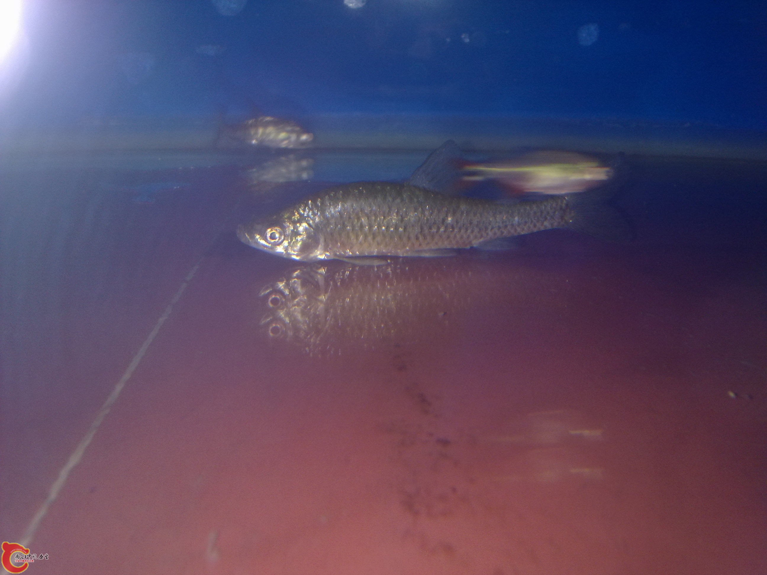 20110604676.jpg