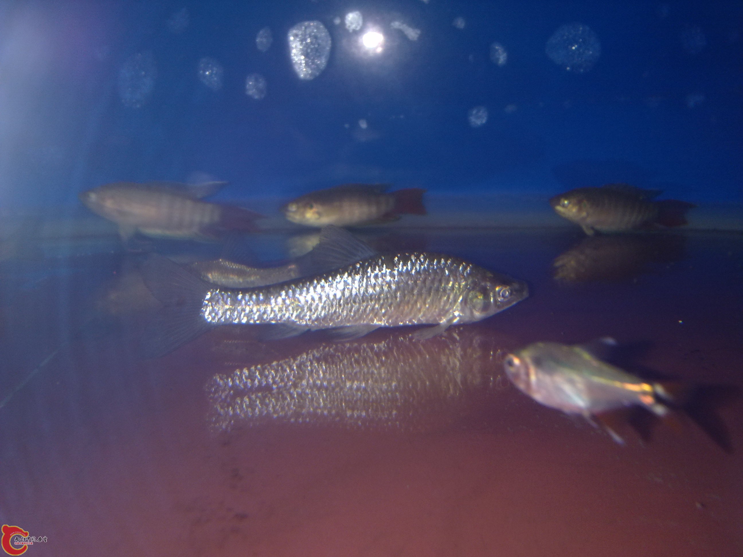 20110602617.jpg