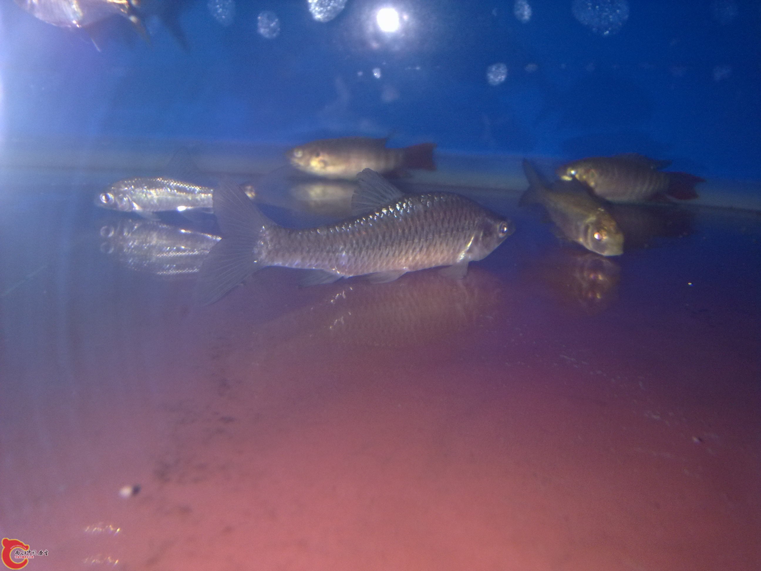 20110602618.jpg