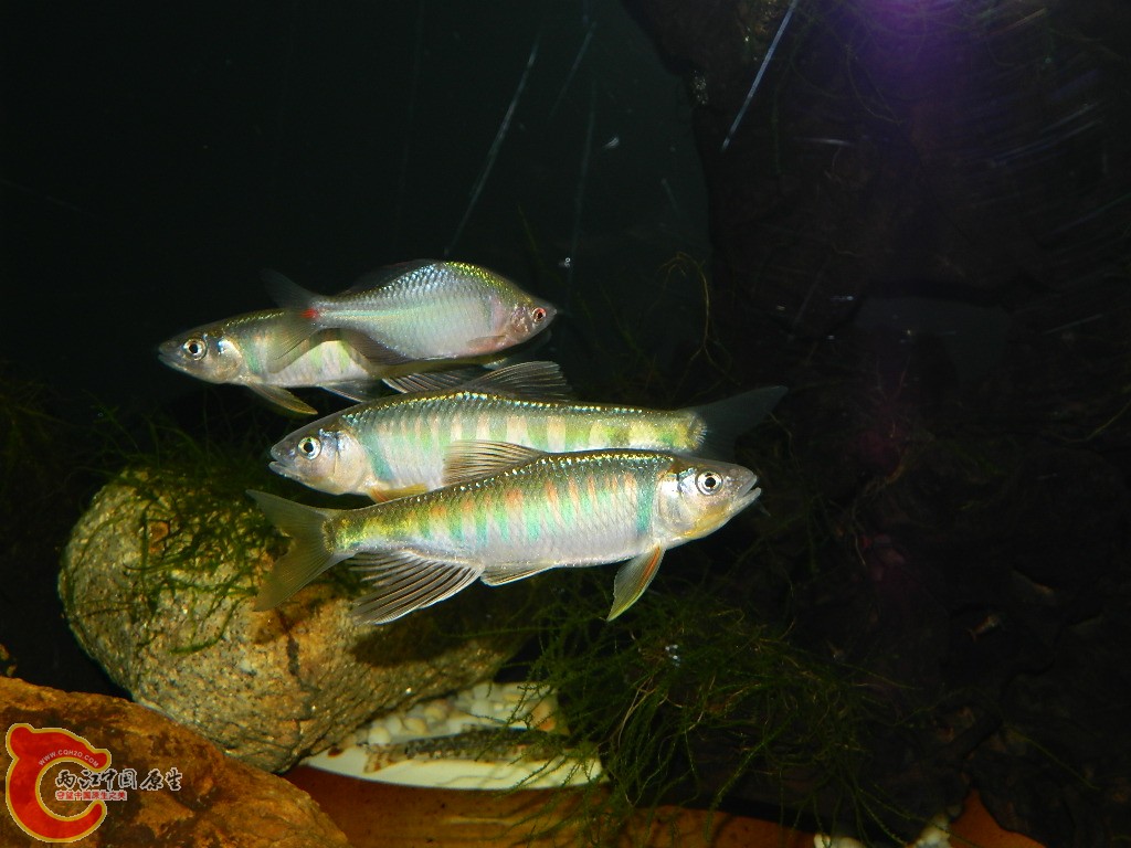 DSCN0994.JPG