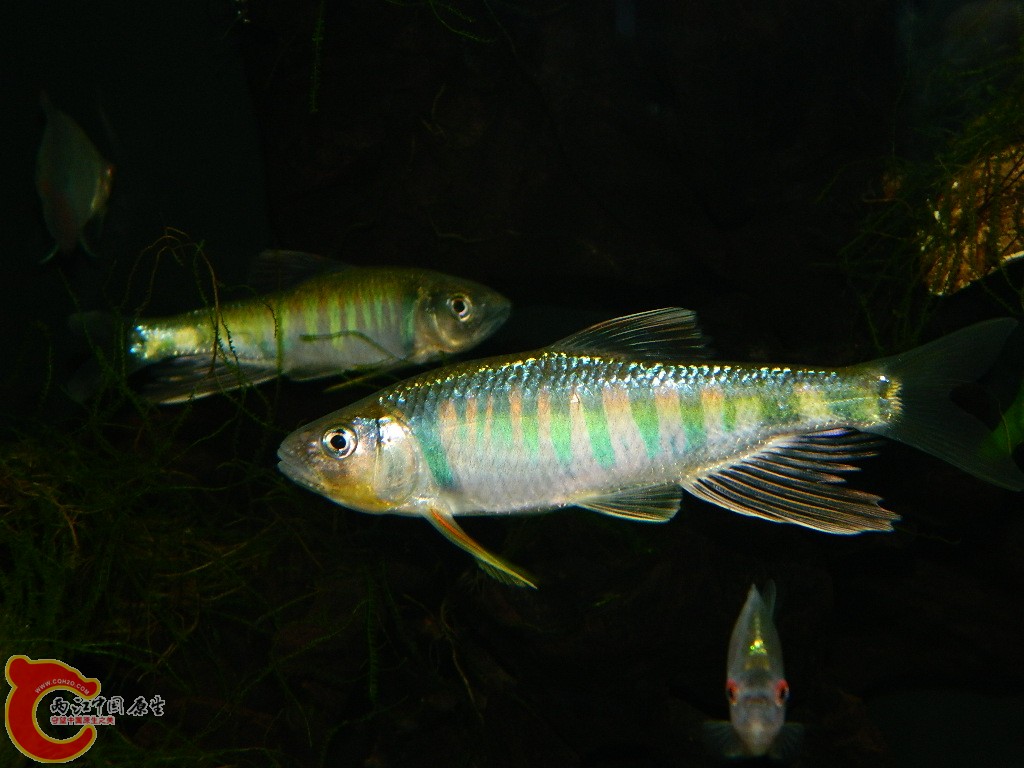 DSCN1019.JPG