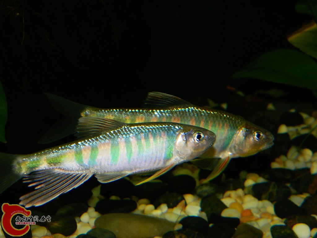 DSCN1024.JPG