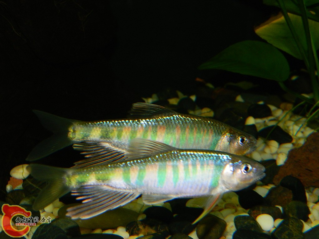 DSCN1025.JPG