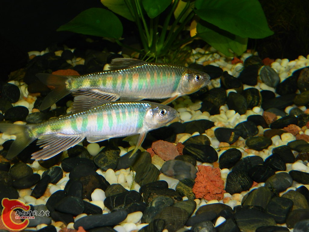 DSCN1032.JPG