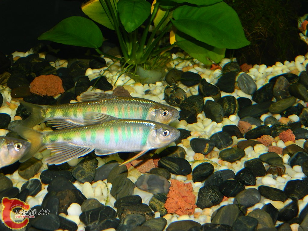 DSCN1034.JPG