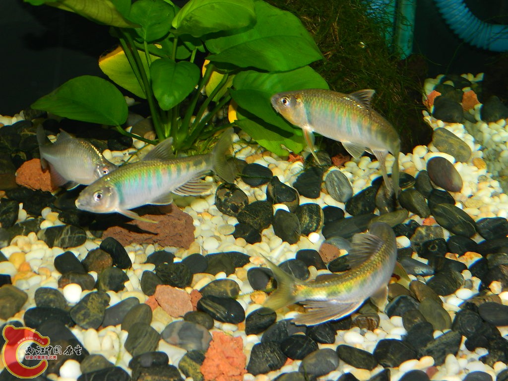 DSCN1035.JPG