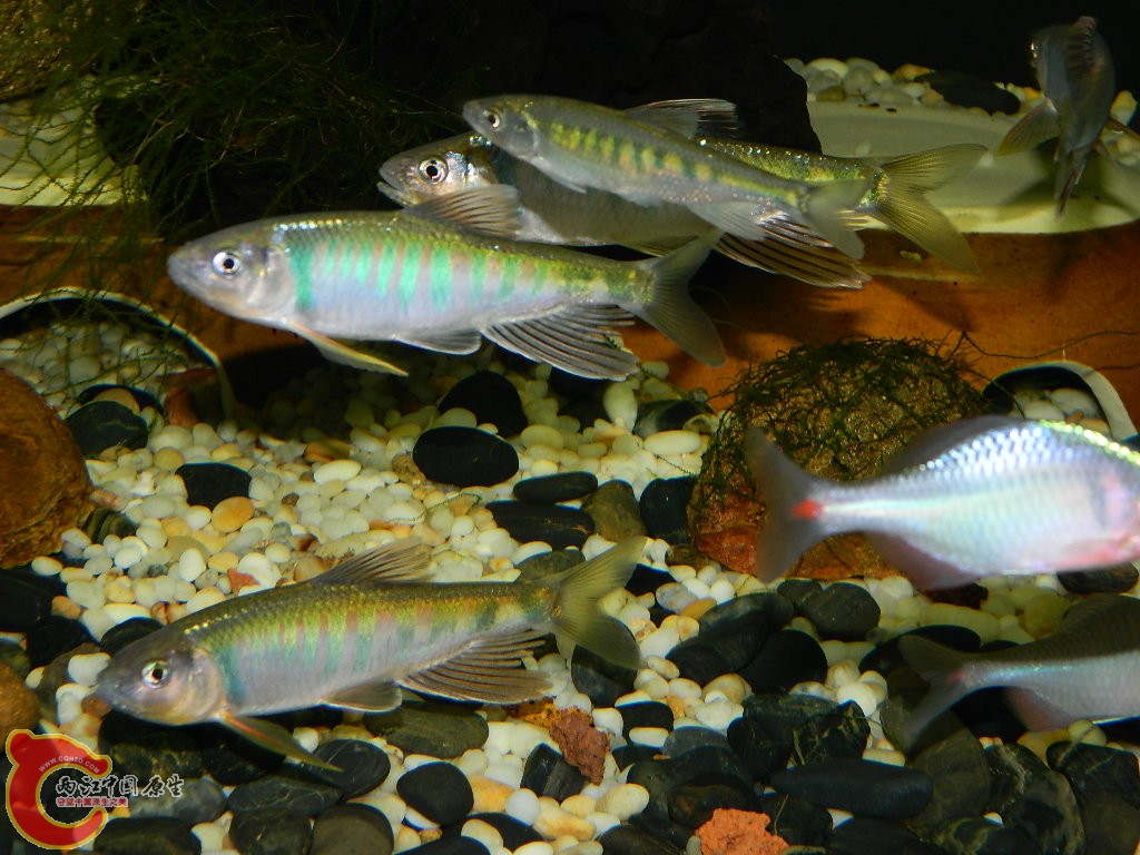DSCN1038.JPG
