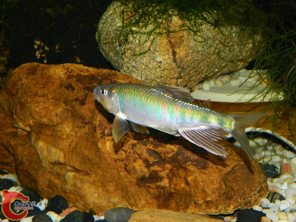 DSCN1043.JPG