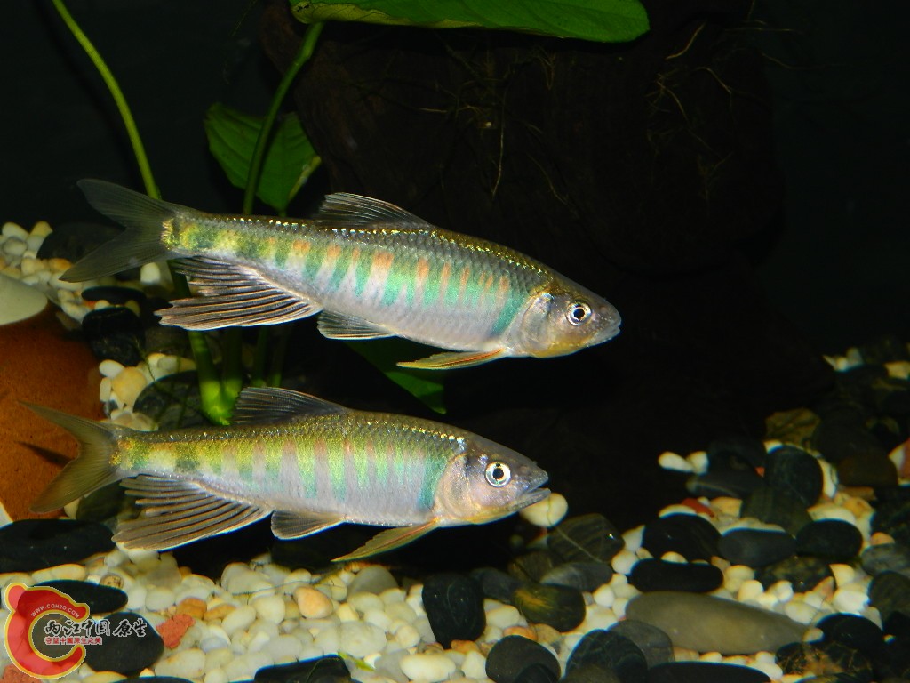 DSCN1044.JPG