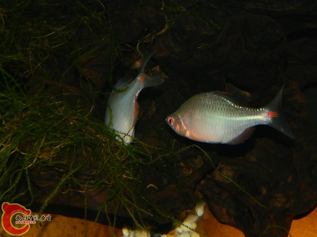DSCN1053.JPG
