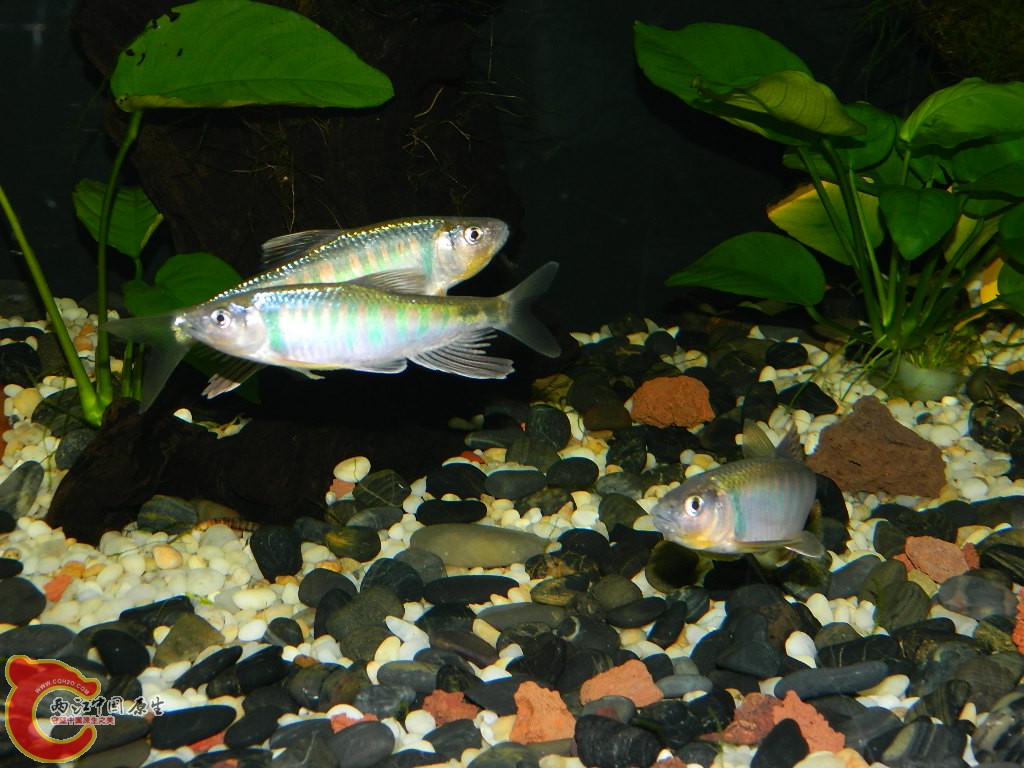 DSCN1070.JPG