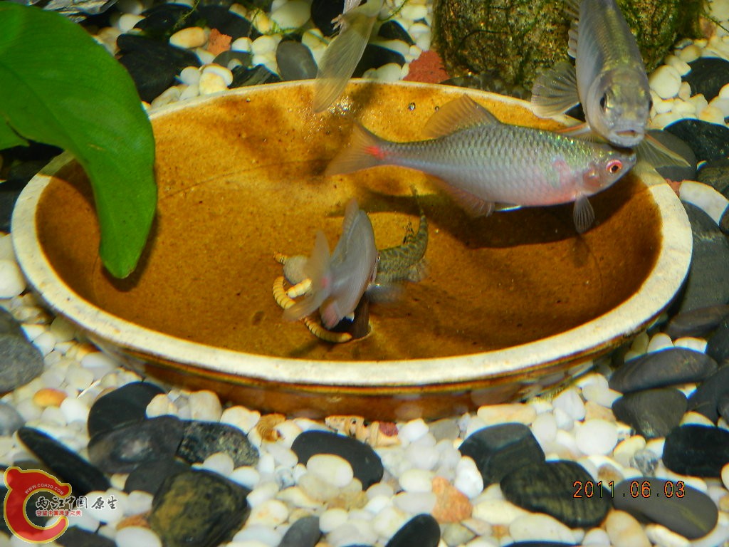 DSCN1074.JPG