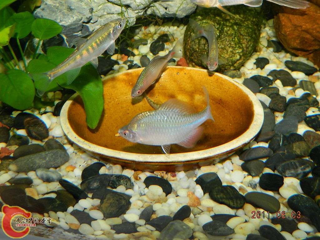 DSCN1076.JPG