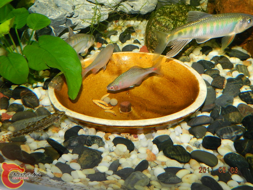 DSCN1077.JPG