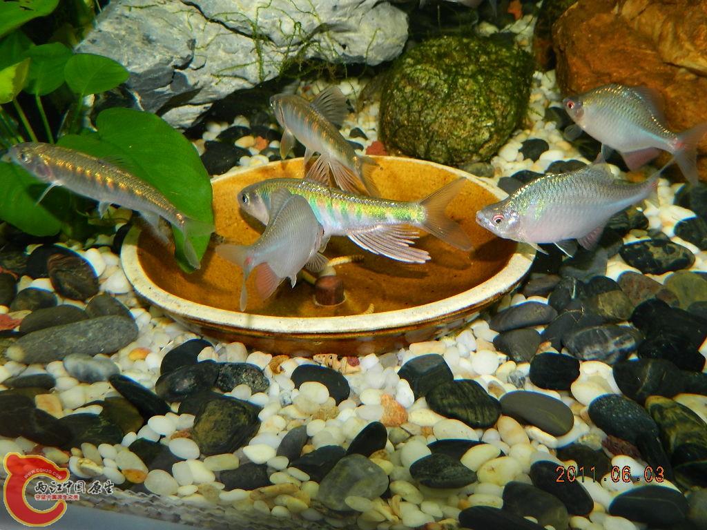 DSCN1080.JPG