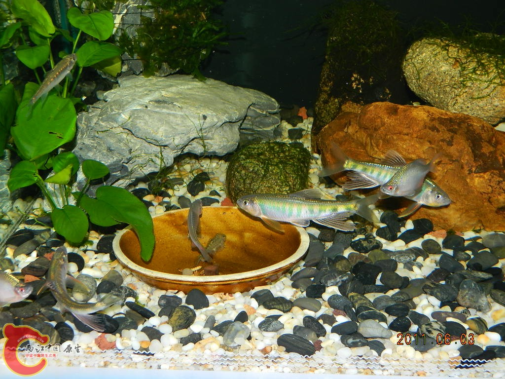 DSCN1082.JPG