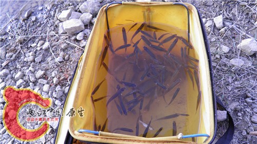 P4300516_副本_副本.jpg