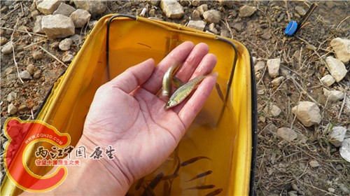 P4300519_副本_副本.jpg