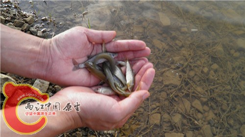 P4300521_副本_副本.jpg