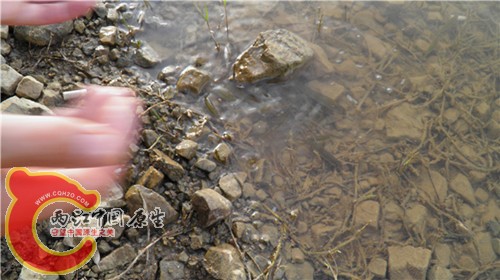 P4300522_副本_副本.jpg