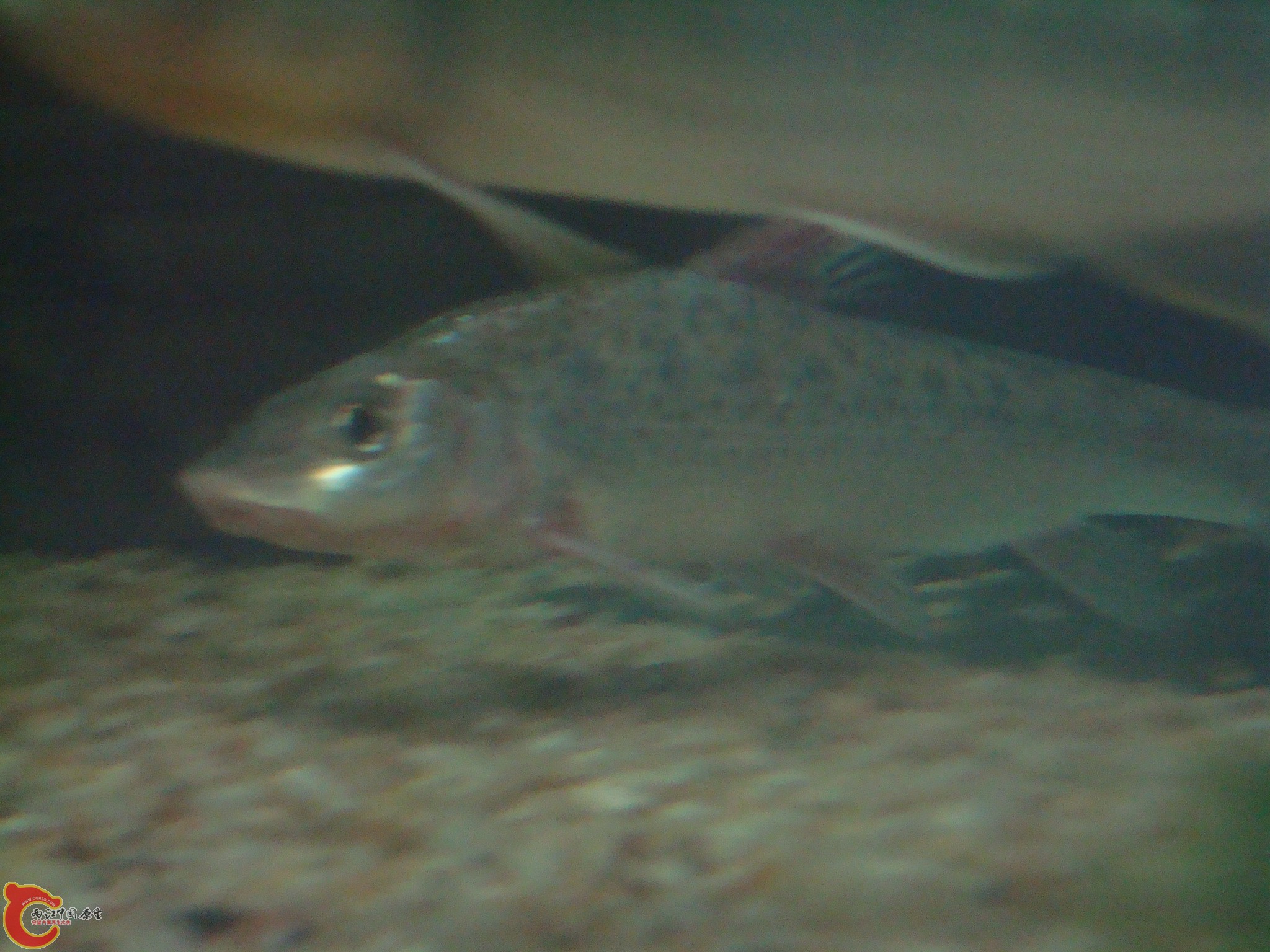 DSC03587.JPG