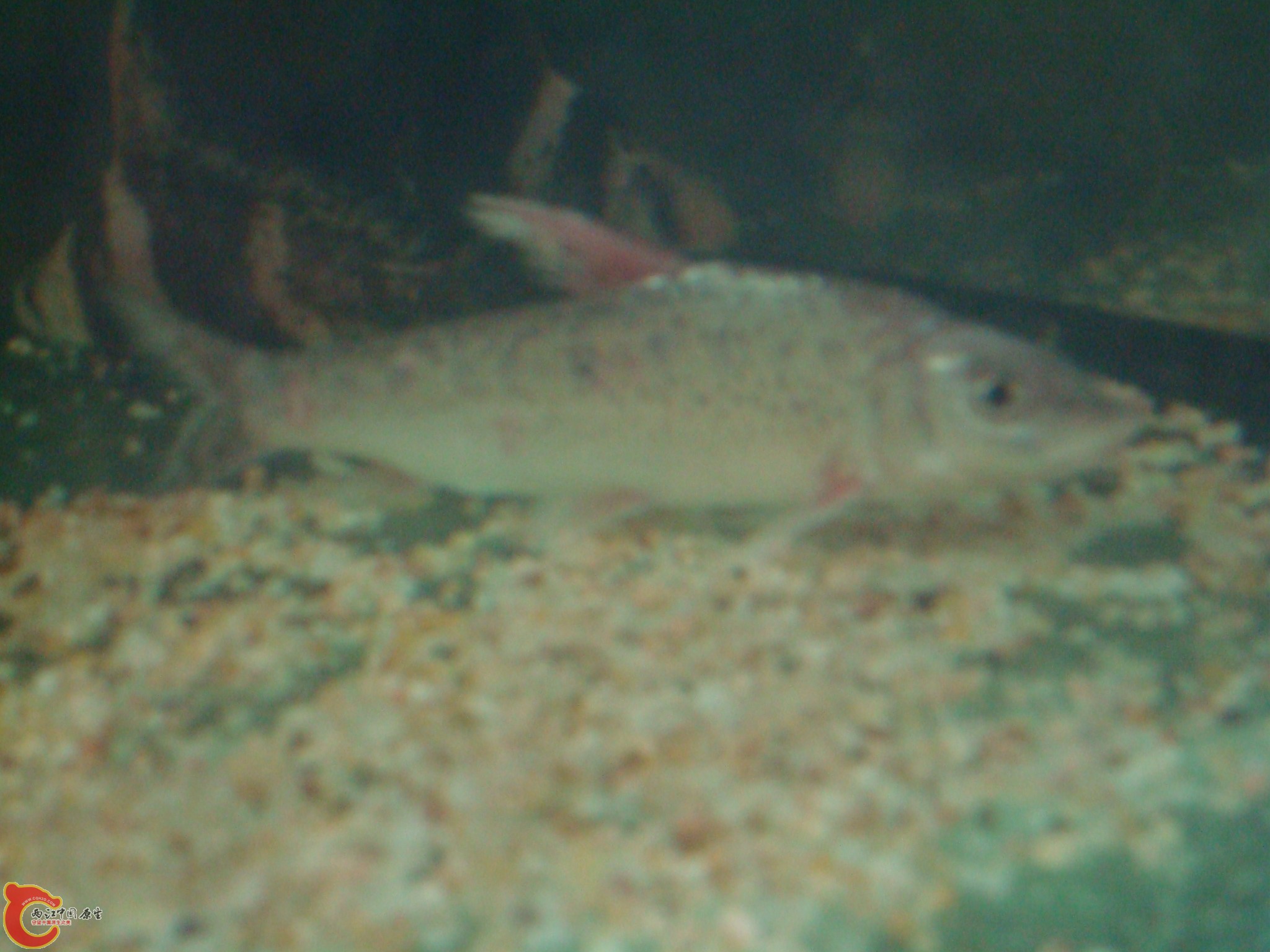 DSC03593.JPG
