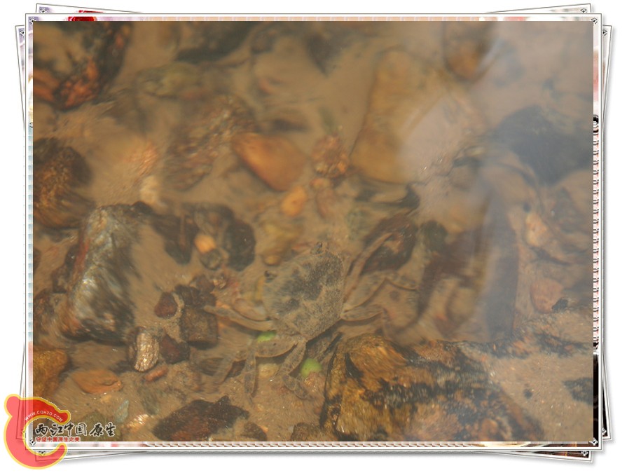 P6041893_副本.jpg