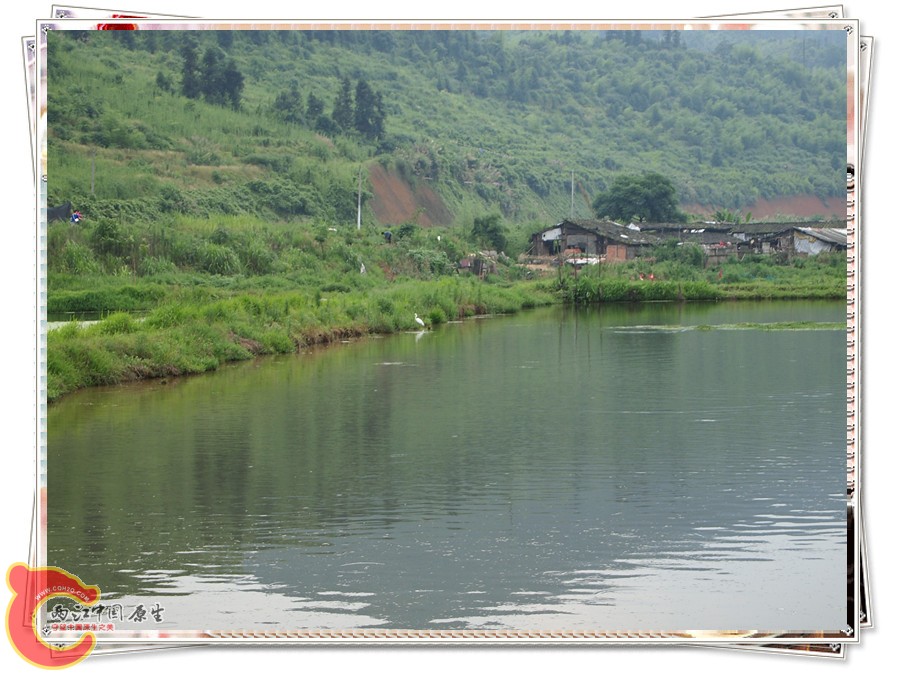 P6041910_副本.jpg