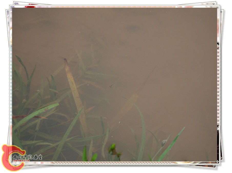 P6051957_副本.jpg