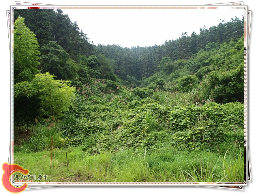 P6041840_副本.jpg