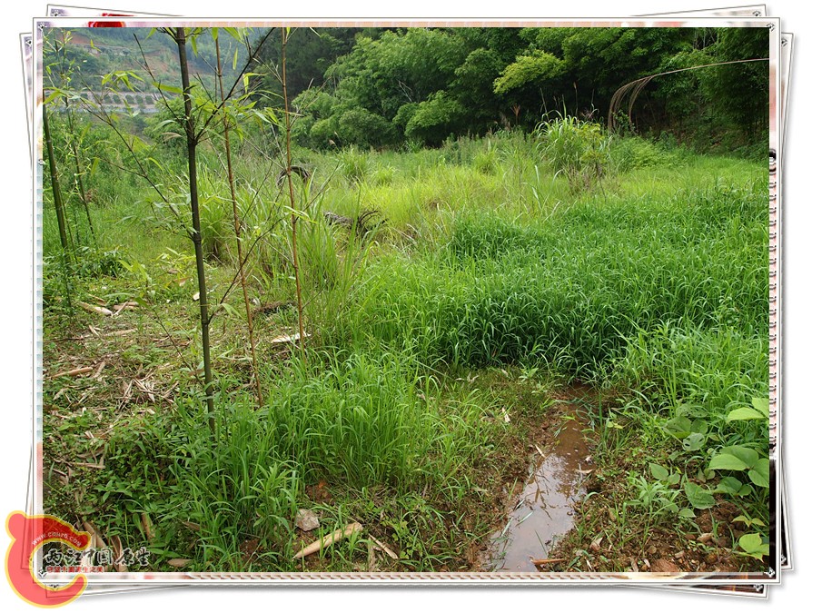 P6041860_副本.jpg